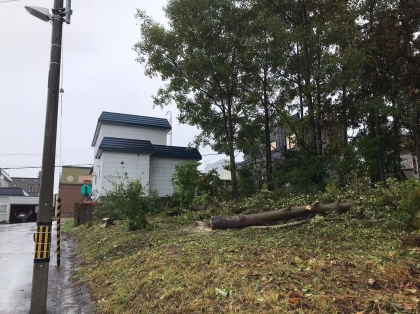 札幌市内　草刈り、樹木伐採